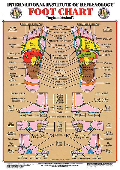 Eunice Ingham Reflexology Chart